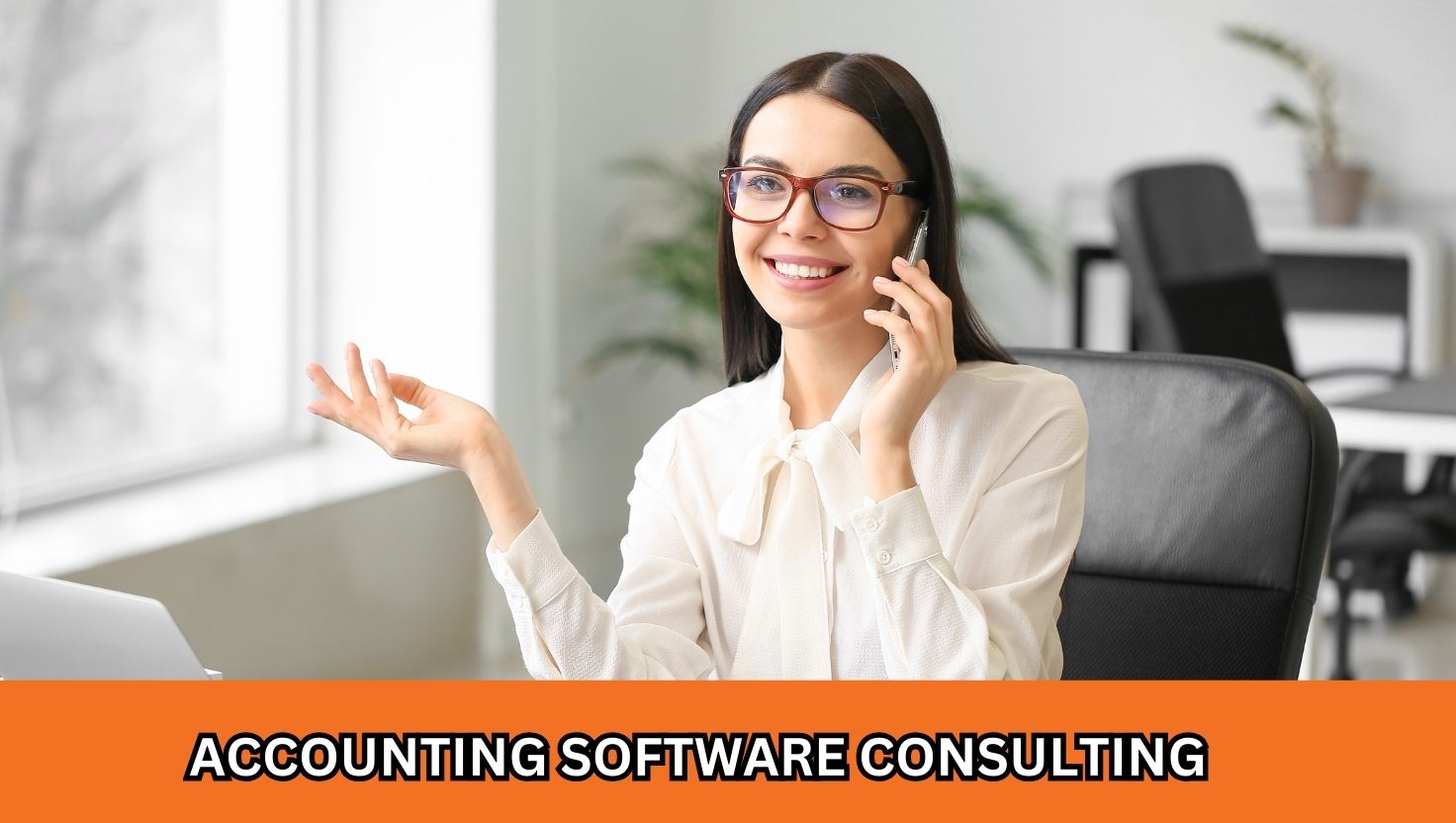 Tally Accounting Software Consulting